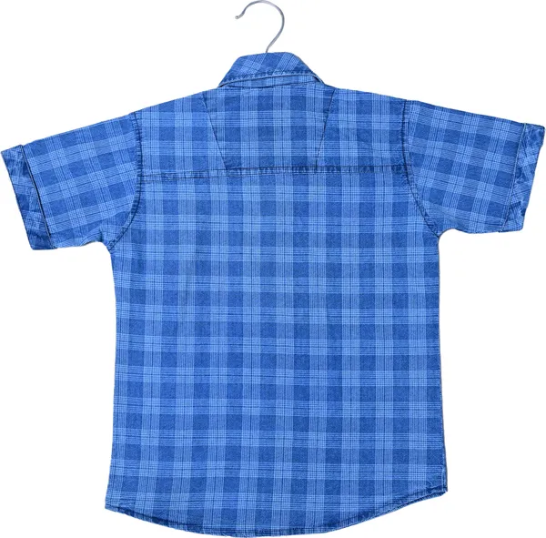 Blue_Check__Boys_Checkered_Casual_Light_Shirt