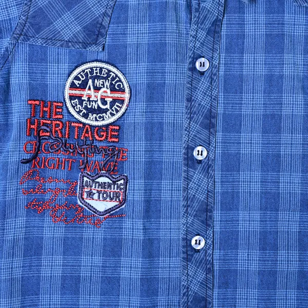 Blue_Check__Boys_Checkered_Casual_Light_Shirt