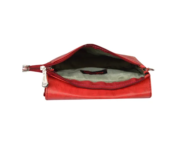 Exotique_Women's_Pink_Sling_Bag_(CW00023PK)