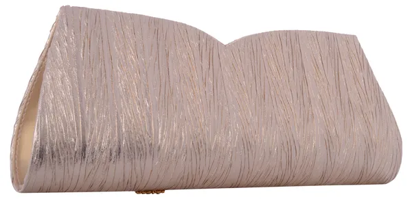 Exotique_Women's_Gold_Casual_clutch_(CW0011GO)