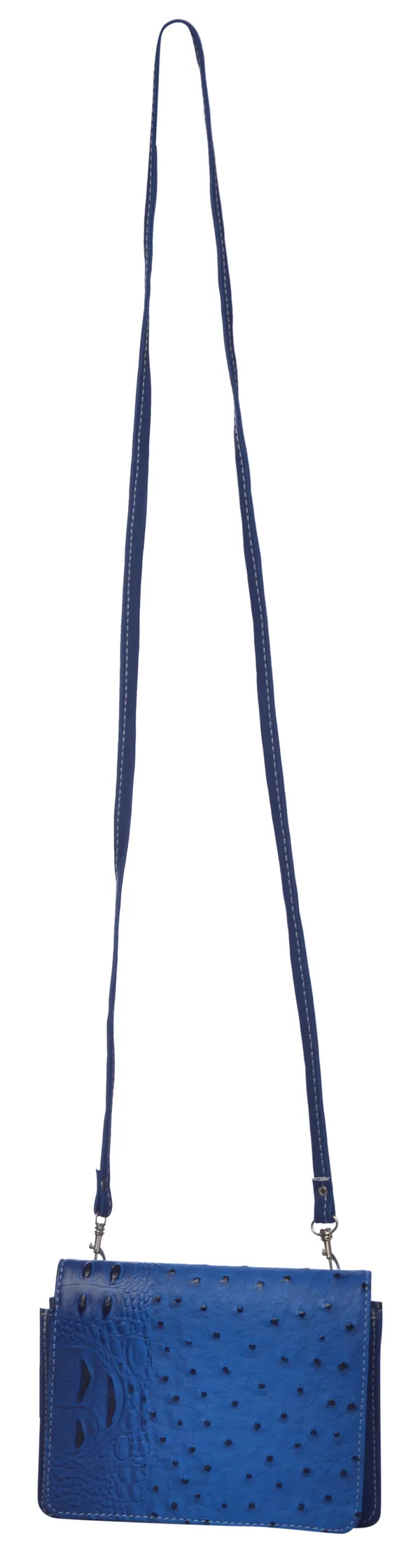 Exotique_Women's_Blue_Sling_Bag_(CW0017BL)