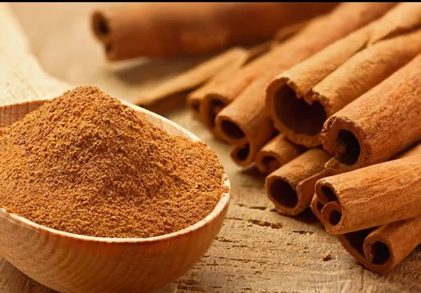 Brown_Cinnamon_Dalchini_Masala_Plant