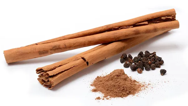 Cinnamon_/Dalchini_Plant_Pack_Of_1_Healthy_Plant_For_Sweet_Home_Garden