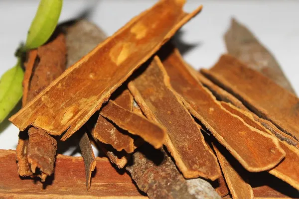 Cinnamon_/Dalchini_Plant_Pack_Of_1_Healthy_Plant_For_Sweet_Home_Garden