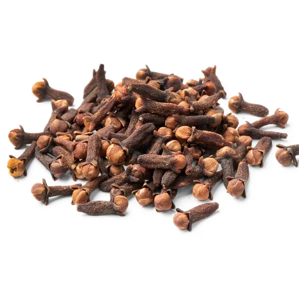 Black_Clove_Lobongo_Airlanding_Masala_Plant