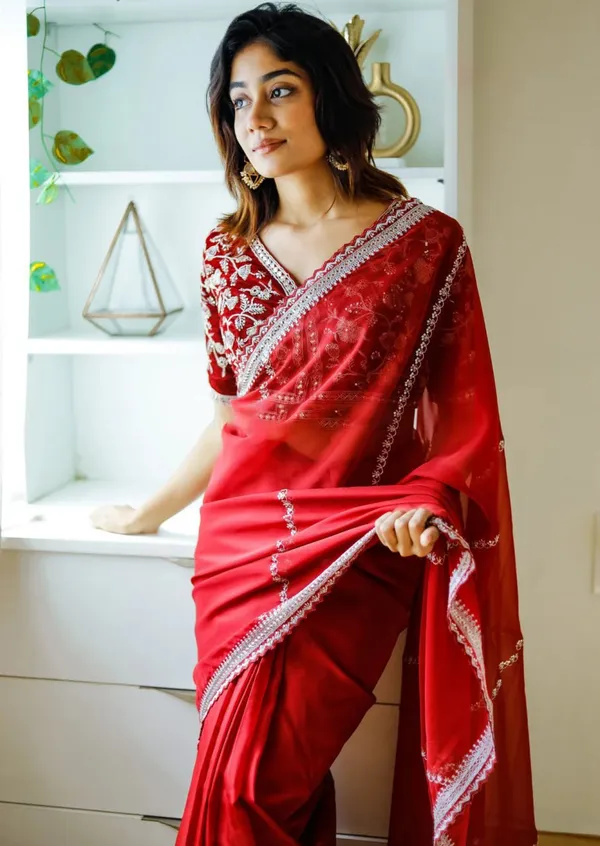 RED_CHERRY_RED_KHADI_ORGANZA_EMBROIDERED_SAREE