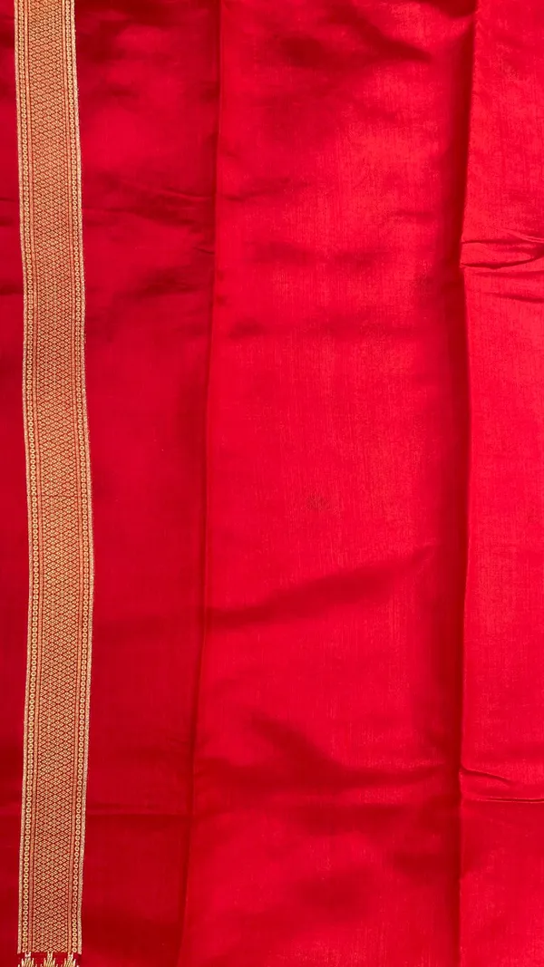 Humairah_Pure_Handloom_Magenta_Dupion_Silk_Floral_Mina_Jaal_with_Contrast_Red_Silver_Mina_Golden_Skirt_Border_and_Red_Blouse