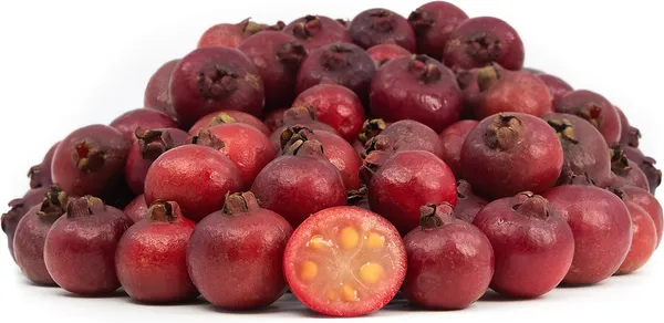 Strawberry_Guava_Plant_|_Grafted_and_Hybrid_Plants