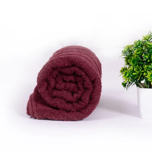 Pack_of_2_Ash_and_Burgundy_Solid_250_GSM_100%_Cotton_Bath_Towels