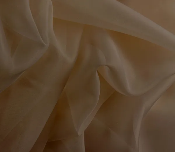 Pack_of_2_Cotton_Dusty_Beige_Solid_Sheer_Eyelet_Curtain_Set_for_Window_and_Door