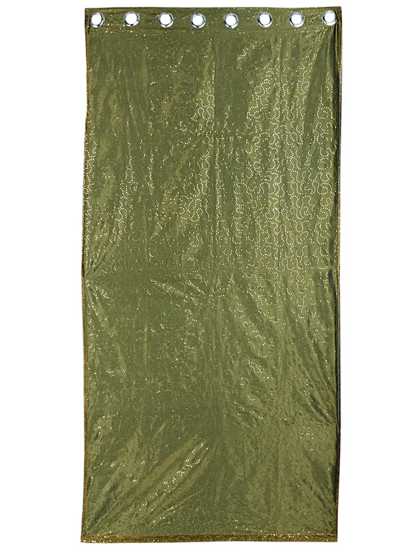 Pack_of_2_Polysilk_Light_Green_Sheer_Soild_Combo._Eyelet_Curtain_Set_for_Window_and_Door