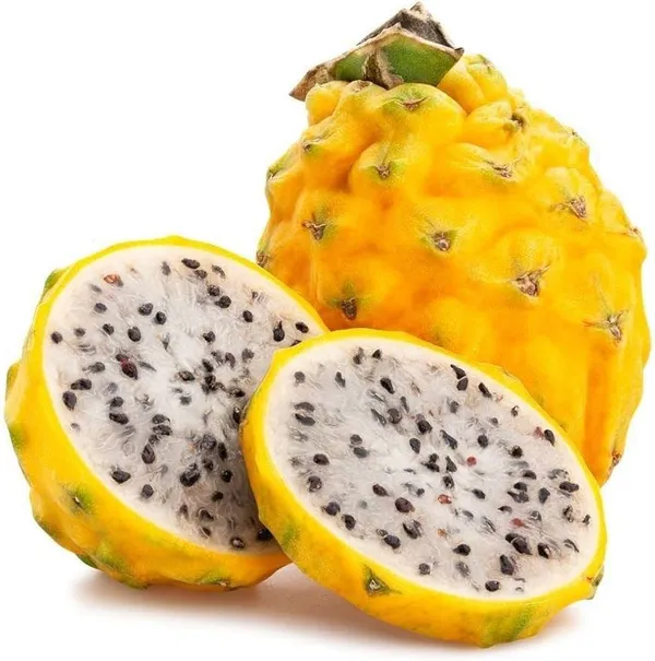 Yellow_Dragon_Hybrid_Fruit_Plant