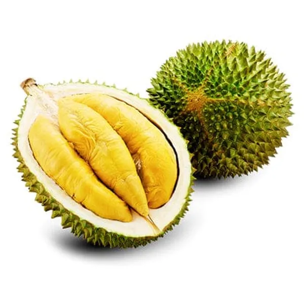 Durian_Fruit_Plant_(1.5-2_Feet_Height_Pack_Of_1)