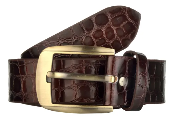 Exotique_Men's_Brown_&_Blue_Casual_Belt_Combo_(EC0020MU)