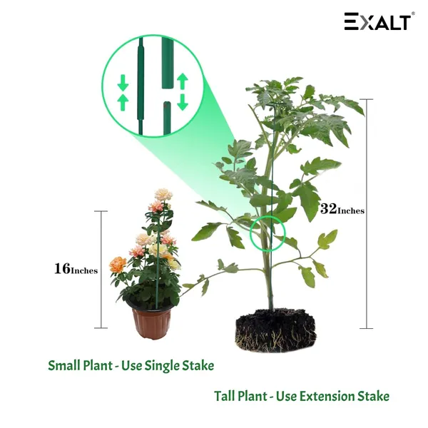 Pack_Of_5_Green_Premium_Metal_Plant_Support_Stakes_32_inch