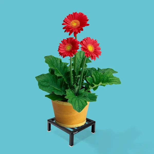 Black_Flower_Pot_Stand_Outdoor_Plants