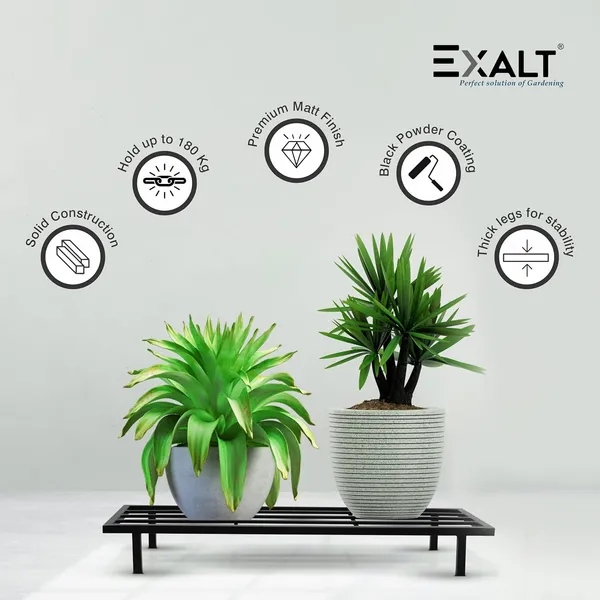 Pack_Of_2_Black_Rectangular_Metal_Stand_For_Plants