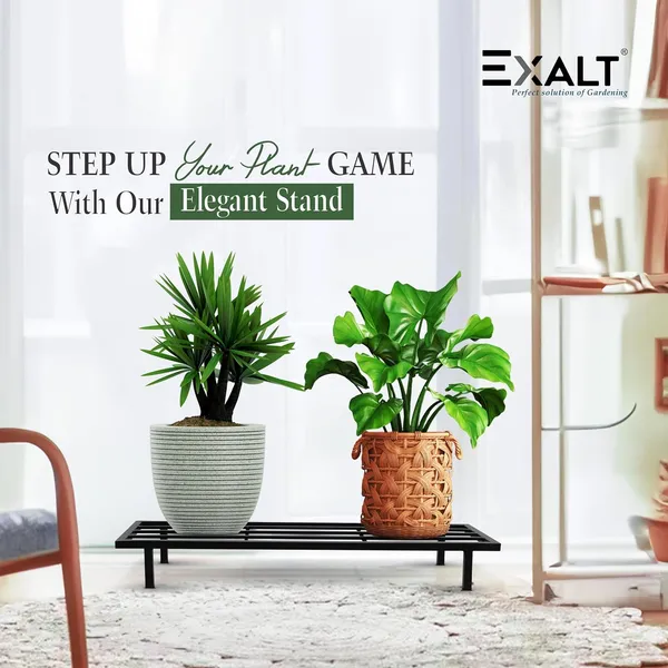 Pack_Of_2_Black_Rectangular_Metal_Stand_For_Plants