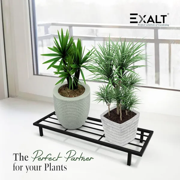 Pack_Of_2_Black_Rectangular_Metal_Stand_For_Plants