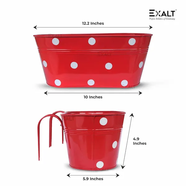 Pack_Of_5_Multicolour_Railing_Planters_Dotted_Oval_Rectangular_Shape_Hanging_Flower_Pots