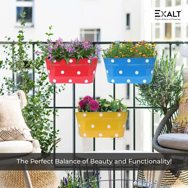 Pack_Of_5_Multicolour_Railing_Planters_Dotted_Oval_Rectangular_Shape_Hanging_Flower_Pots