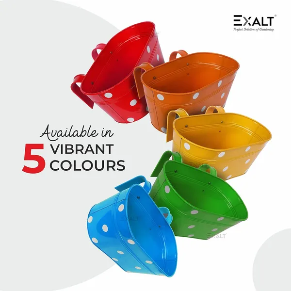 Pack_Of_5_Multicolour_Railing_Planters_Dotted_Oval_Rectangular_Shape_Hanging_Flower_Pots