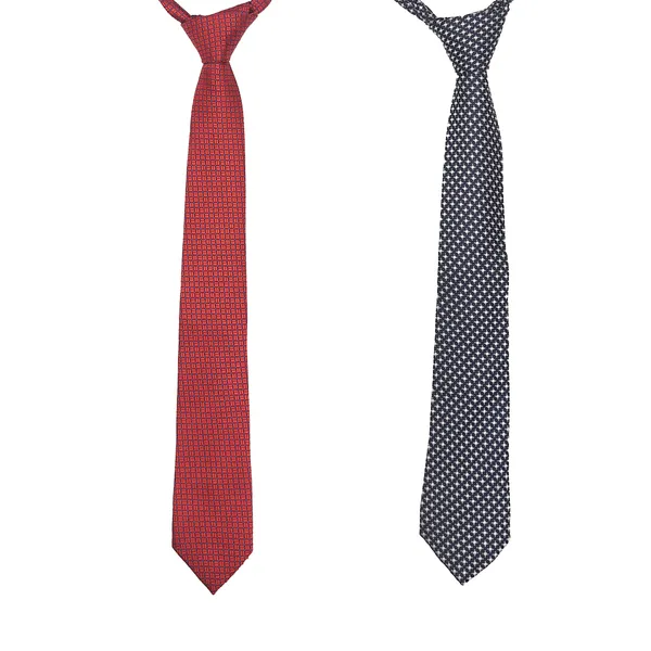 Exotique_Red_&_Blue_Microfiber_Neck_tie_Combo_For_Men_(ET0012MU)