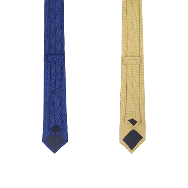Exotique_Yellow_&_Blue_Microfiber_Neck_tie_Combo_For_Men_(ET0016MU)