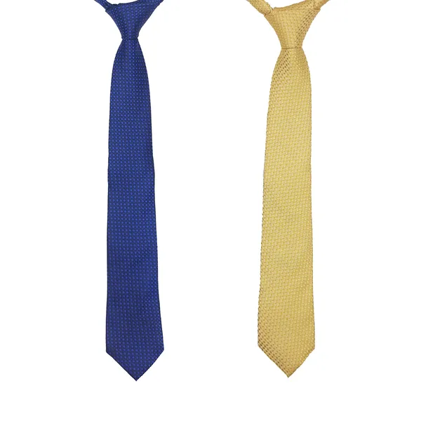 Exotique_Yellow_&_Blue_Microfiber_Neck_tie_Combo_For_Men_(ET0016MU)