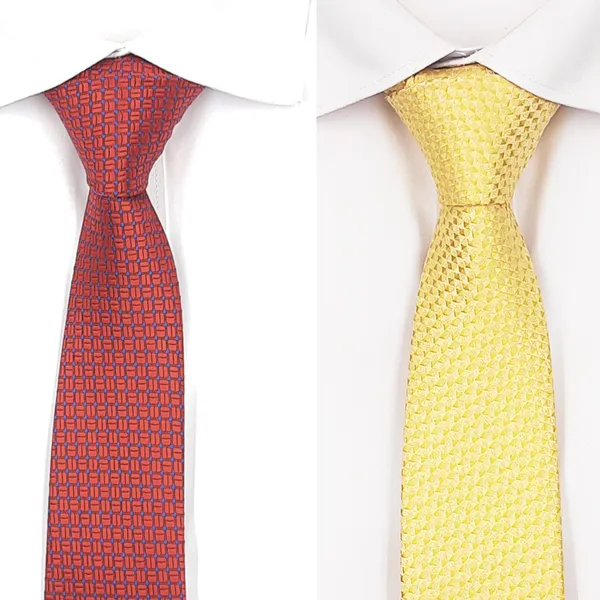 Exotique_Blue_&_Red_Microfiber_Neck_tie_Combo_For_Men_(ET0017MU)
