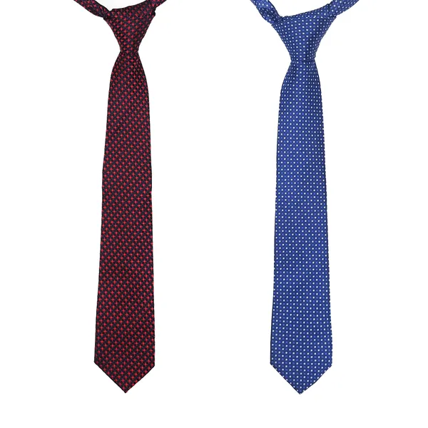 Exotique_Maroon_Multi_&_Blue_Microfiber_Neck_tie_Combo_For_Men_(ET0018MU)