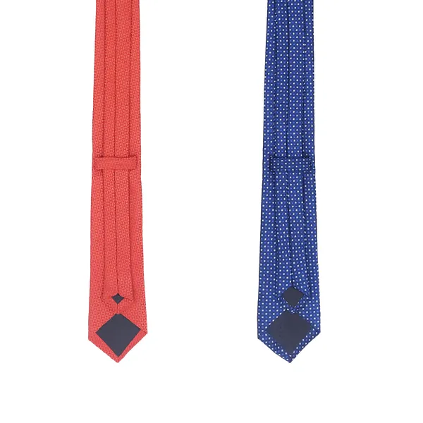 Exotique_Red_&_Blue_Microfiber_Neck_tie_Combo_For_Men_(ET0019MU)
