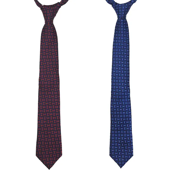 Exotique_Blue_&_Purple_Microfiber_Neck_tie_Combo_For_Men_(ET0025MU)