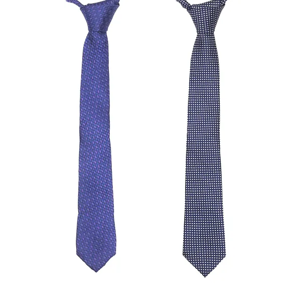 Exotique_Purple_&_Blue_Microfiber_Neck_tie_Combo_For_Men_(ET0031MU)