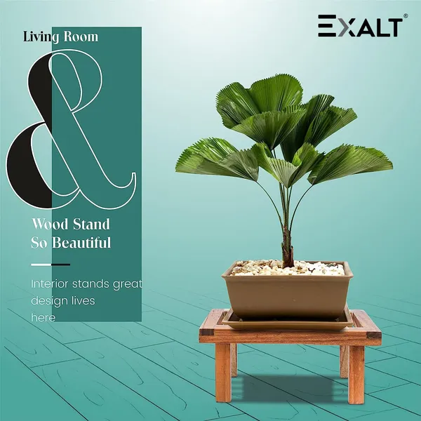 Pack_Of_2_Brown_Natural_Wooden_Plant_Stand_Flower_Pot_Stand_For_Balcony