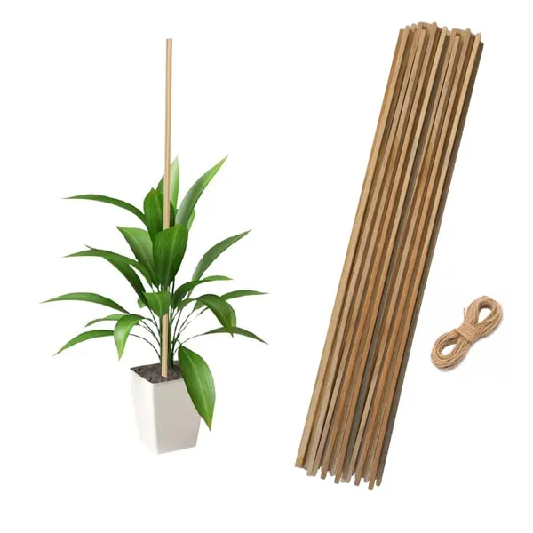 Pack_Of_12_Brown_Wooden_Premium_Natural_Teak_Wood_Plant_Support_Sticks_3_feet