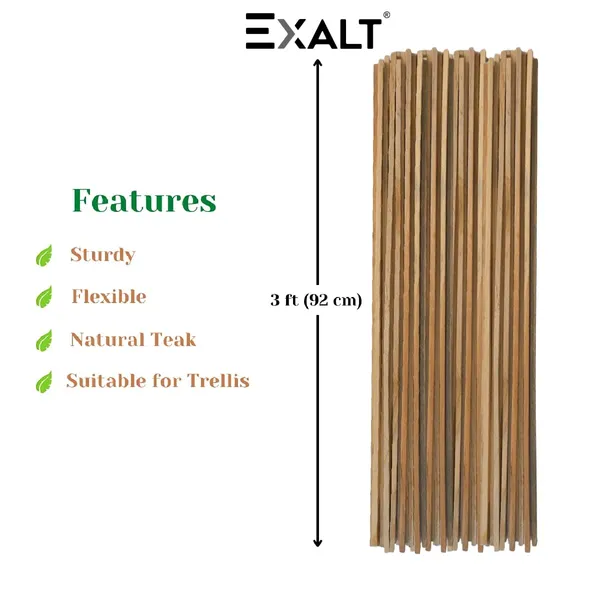 Pack_Of_12_Brown_Wooden_Premium_Natural_Teak_Wood_Plant_Support_Sticks_3_feet