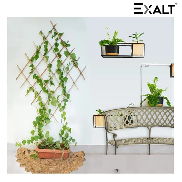 Pack_Of_12_Brown_Wooden_Premium_Natural_Teak_Wood_Plant_Support_Sticks_3_feet