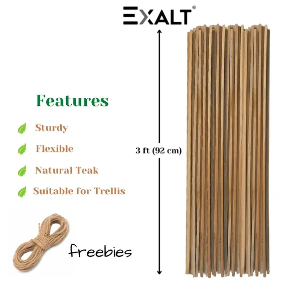 Pack_Of_24_Brown_Wooden_Natural_Teak_Wooden_Support_Sticks_For_Indoor_And_Outdoor