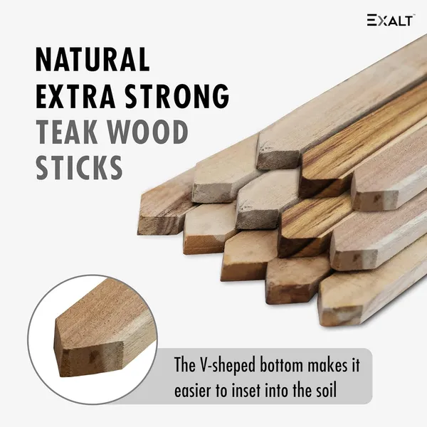 Set_Of_12_Beige_Natural_Wooden_Extra_Strong_Sticks_Plant_Support