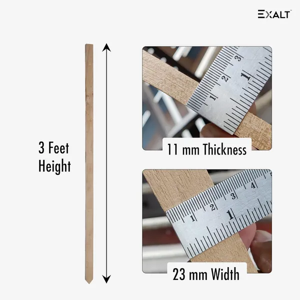 Set_Of_12_Beige_Natural_Wooden_Extra_Strong_Sticks_Plant_Support