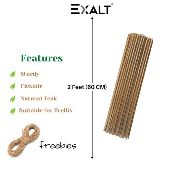 Pack_Of_15_Brown_Premium_Teak_Wood_Plant_Support_Sticks_2_feet
