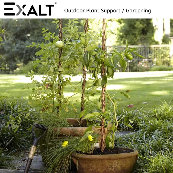 Pack_Of_15_Brown_Premium_Teak_Wood_Plant_Support_Sticks_2_feet
