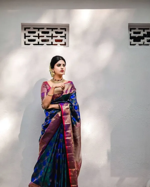 Women's_Kanjivaram_Banarasi_Soft_Silk_Zari_Woven_Saree_With_Blouse_Piece_Blue_With_Blouse_Piece
