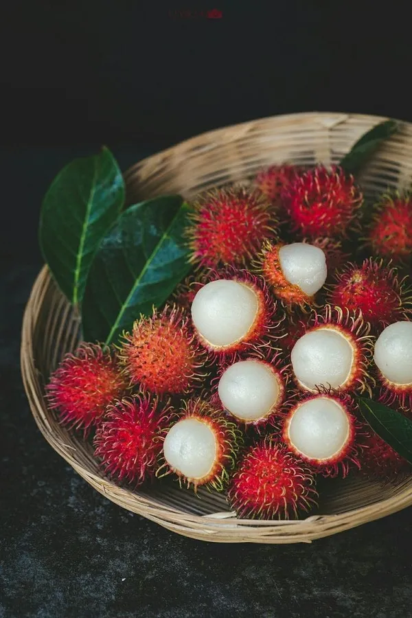 Grafting_Rambutan_Fruit_Plant