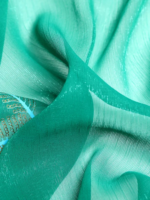 Indian_Women_Turquoise_Blue_Shimmer__Full_Saree_Fancy_Border_with_sequence_work_Beautiful_saree