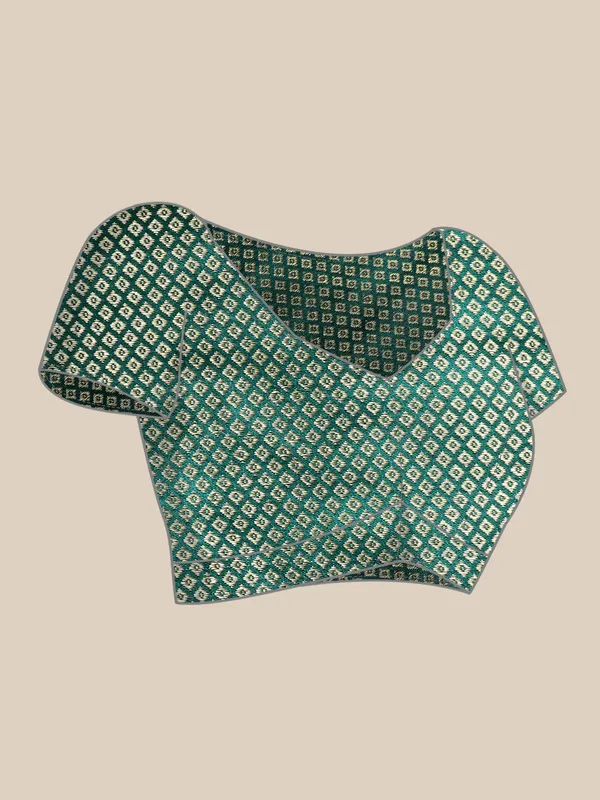 Indian_Women_Turquoise_Blue_Shimmer__Full_Saree_Fancy_Border_with_sequence_work_Beautiful_saree