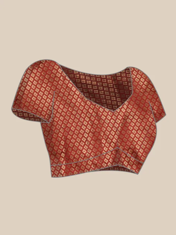 Indian_Women_Brwon__Shimmer__Full_Saree_Fancy_Border_with_sequence_work_Beautiful_saree