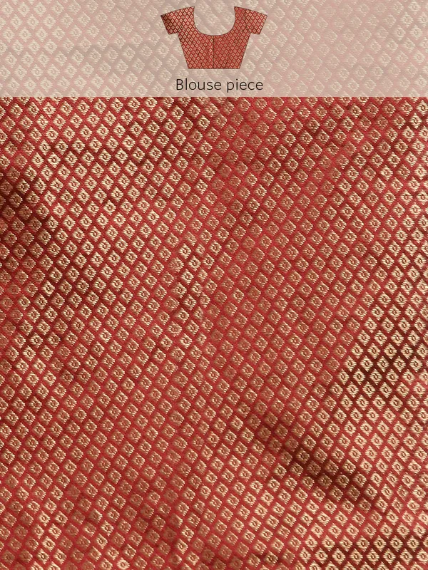 Indian_Women_Brwon__Shimmer__Full_Saree_Fancy_Border_with_sequence_work_Beautiful_saree