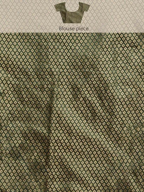 Indian_Women_Green_Shimmer__Full_Saree_Fancy_Border_with_sequence_work_Beautiful_saree